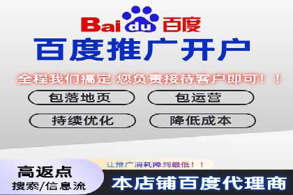 百度推广服务费案例分析：成功背后的秘密